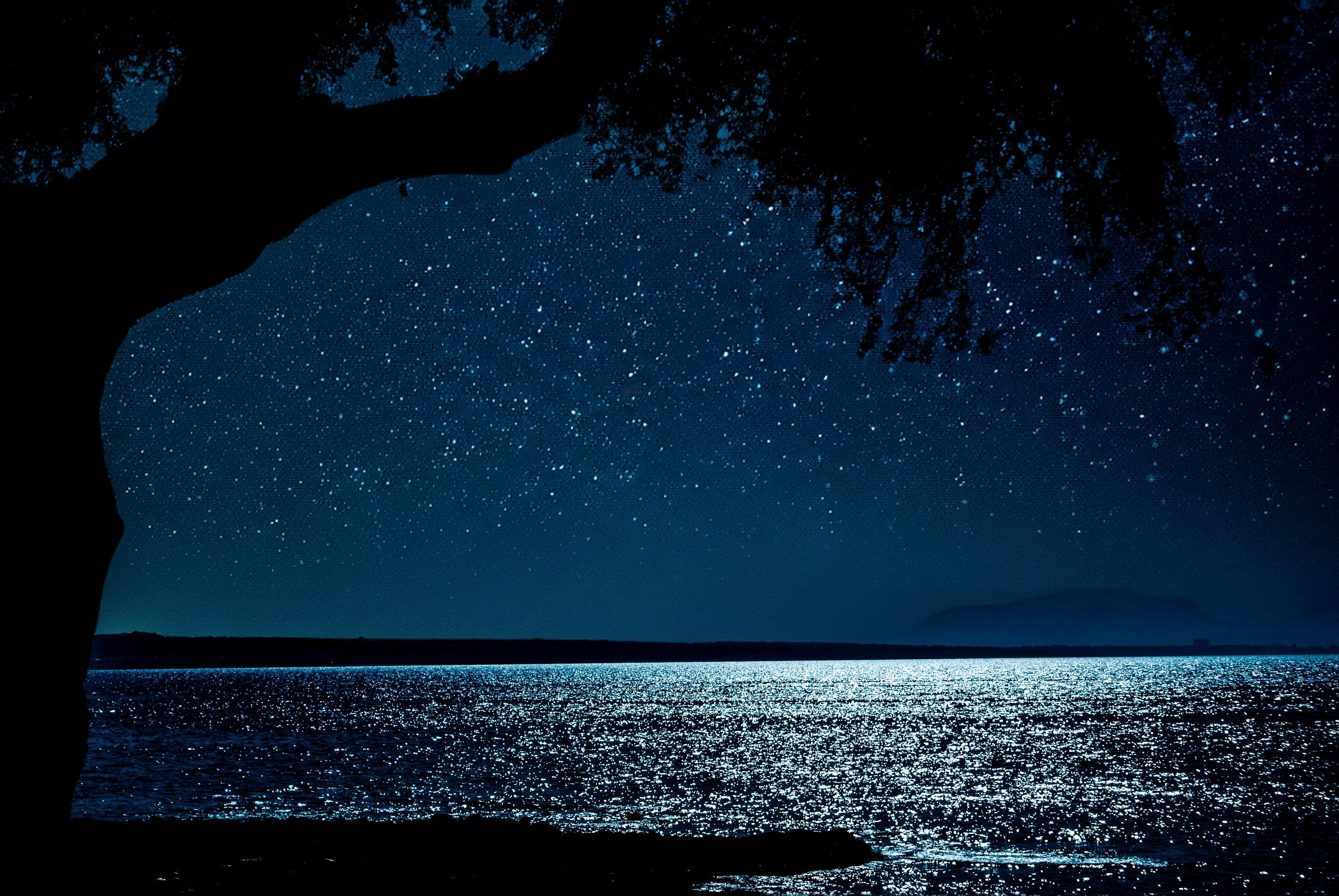 Seascape in Moonlight